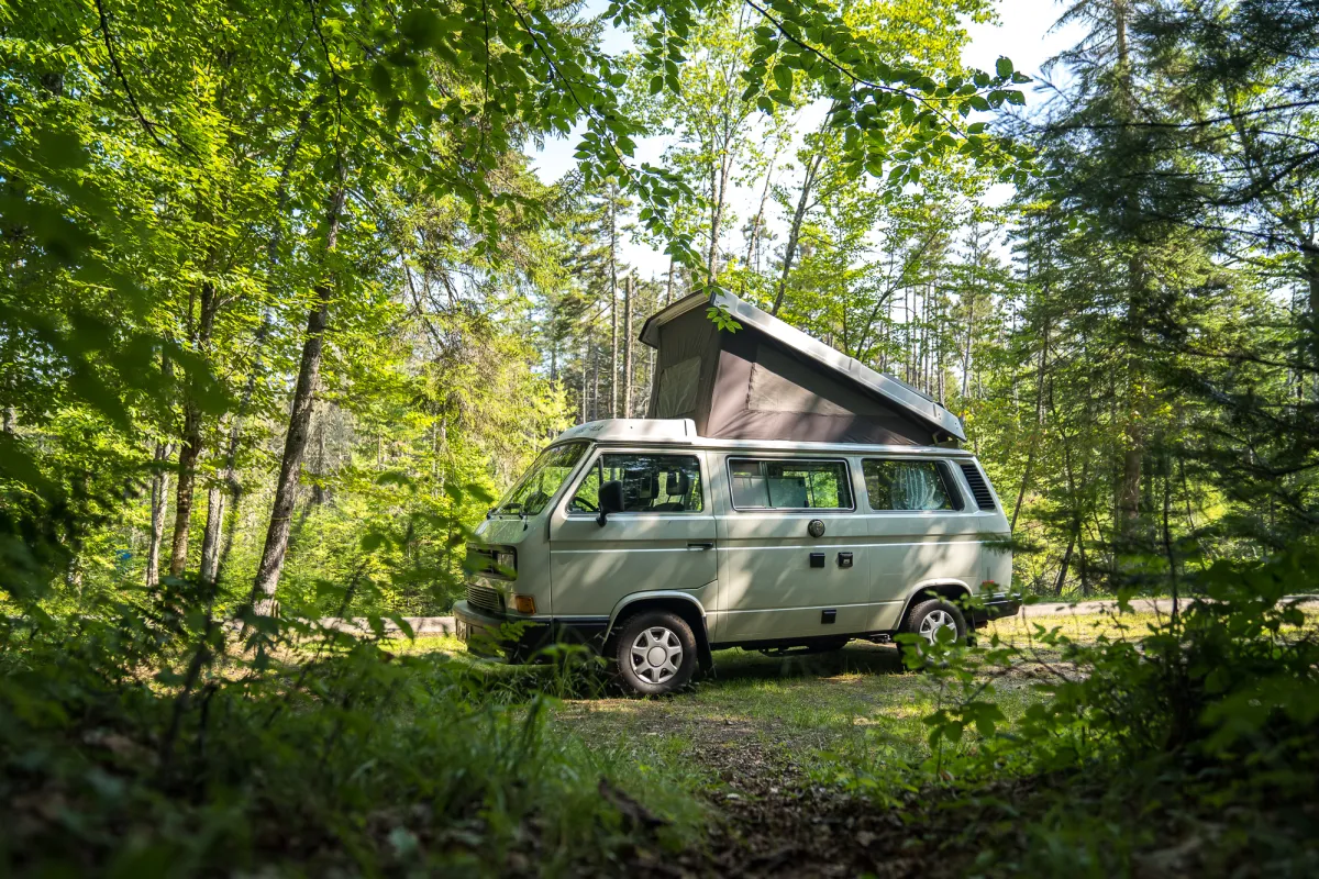 A camper van parked in the woods during the summer.