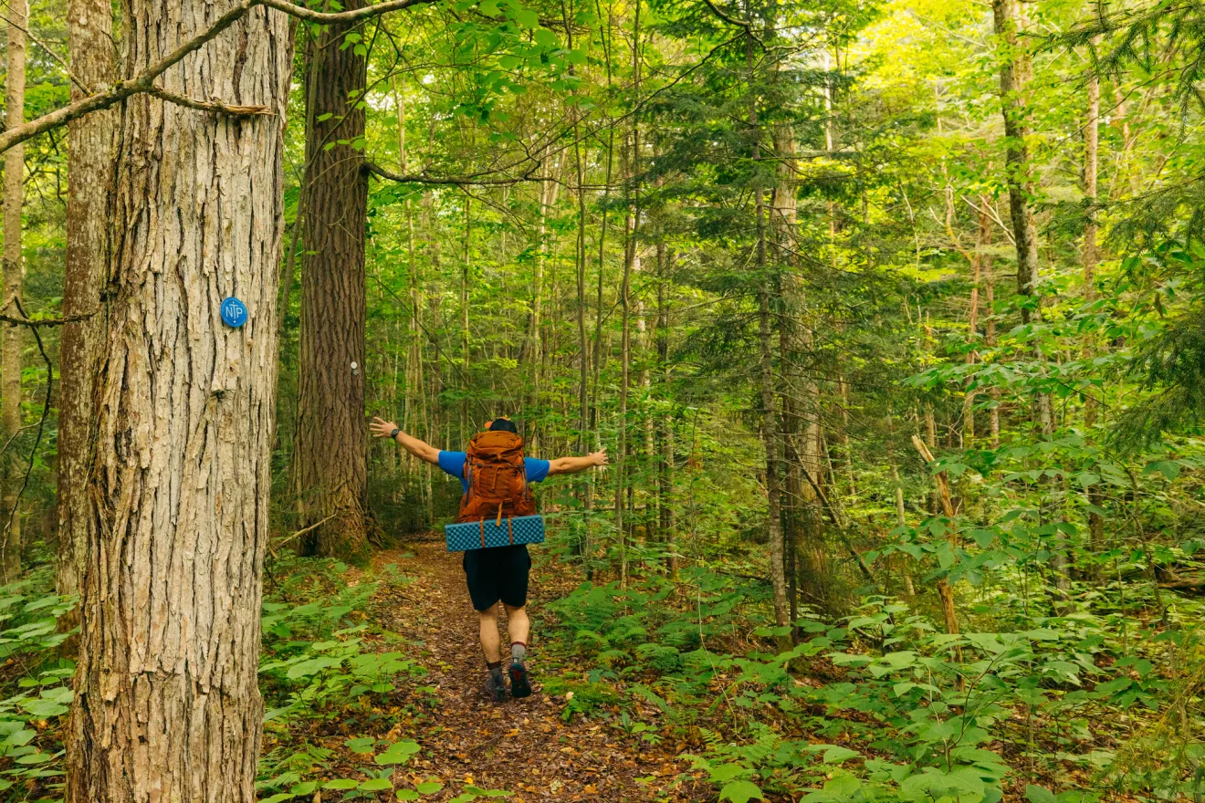 A hiker backpacking on a forested trail in the summer.