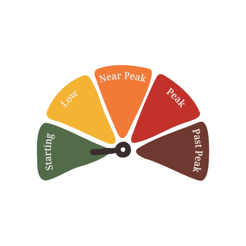 A meter graphic that measures foliage in Lake Placid. The needle is pointed to "just beginning".
