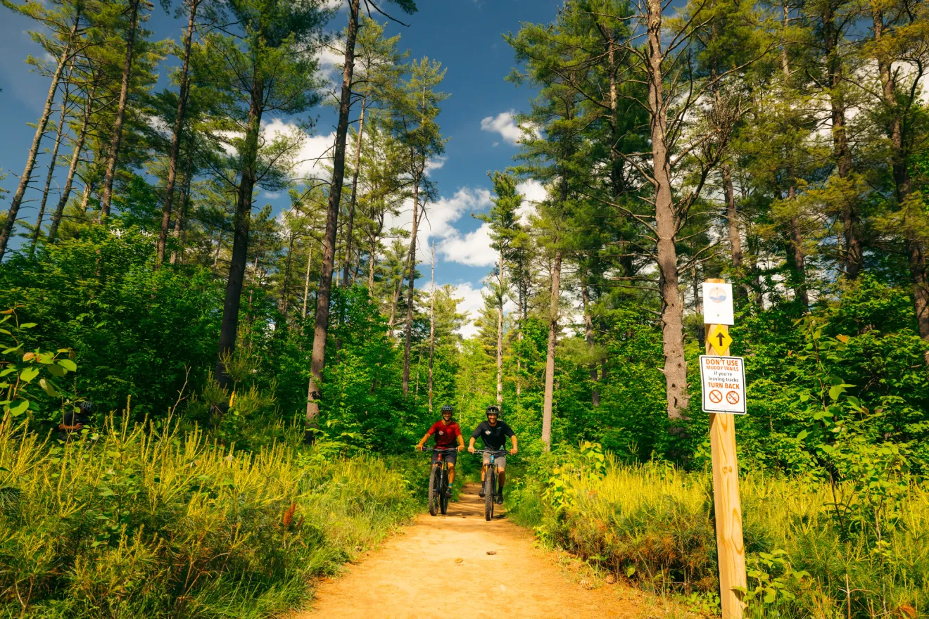 two mountain bikers on a trail