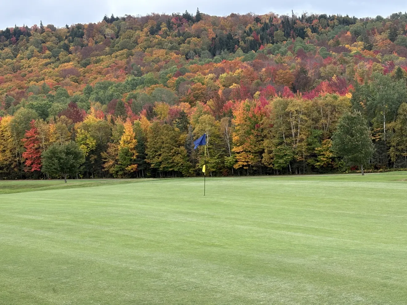 A golf course surrounded by fall foliage.