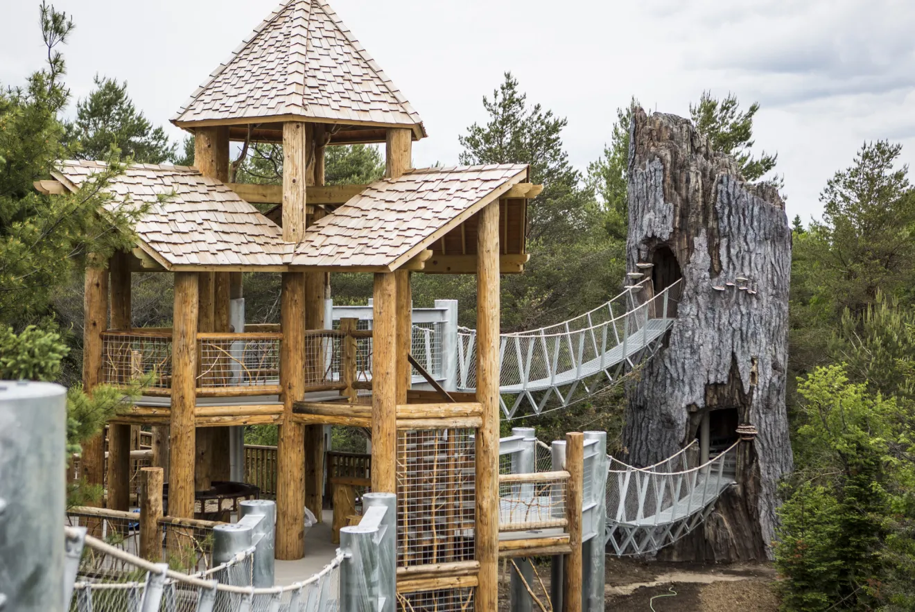 Wild Walk at the Wild Center in Tupper Lake, NY