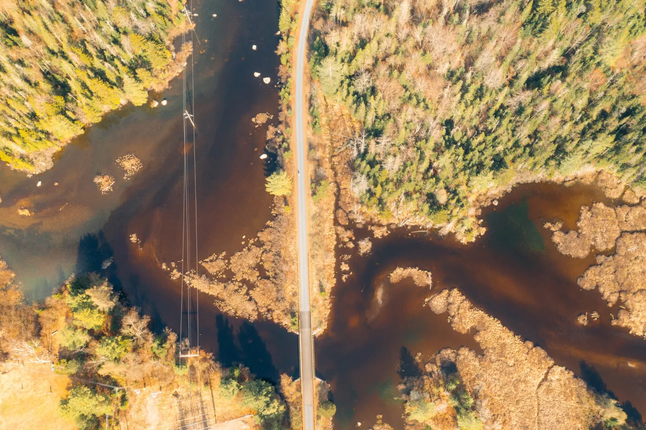 An aerial view of a path surrounded by marshland. 