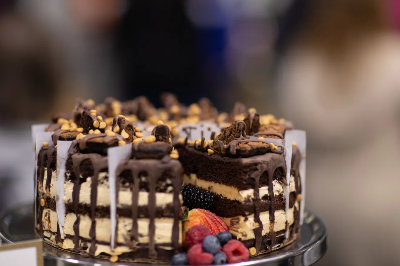 A cake with chocolate layers. 