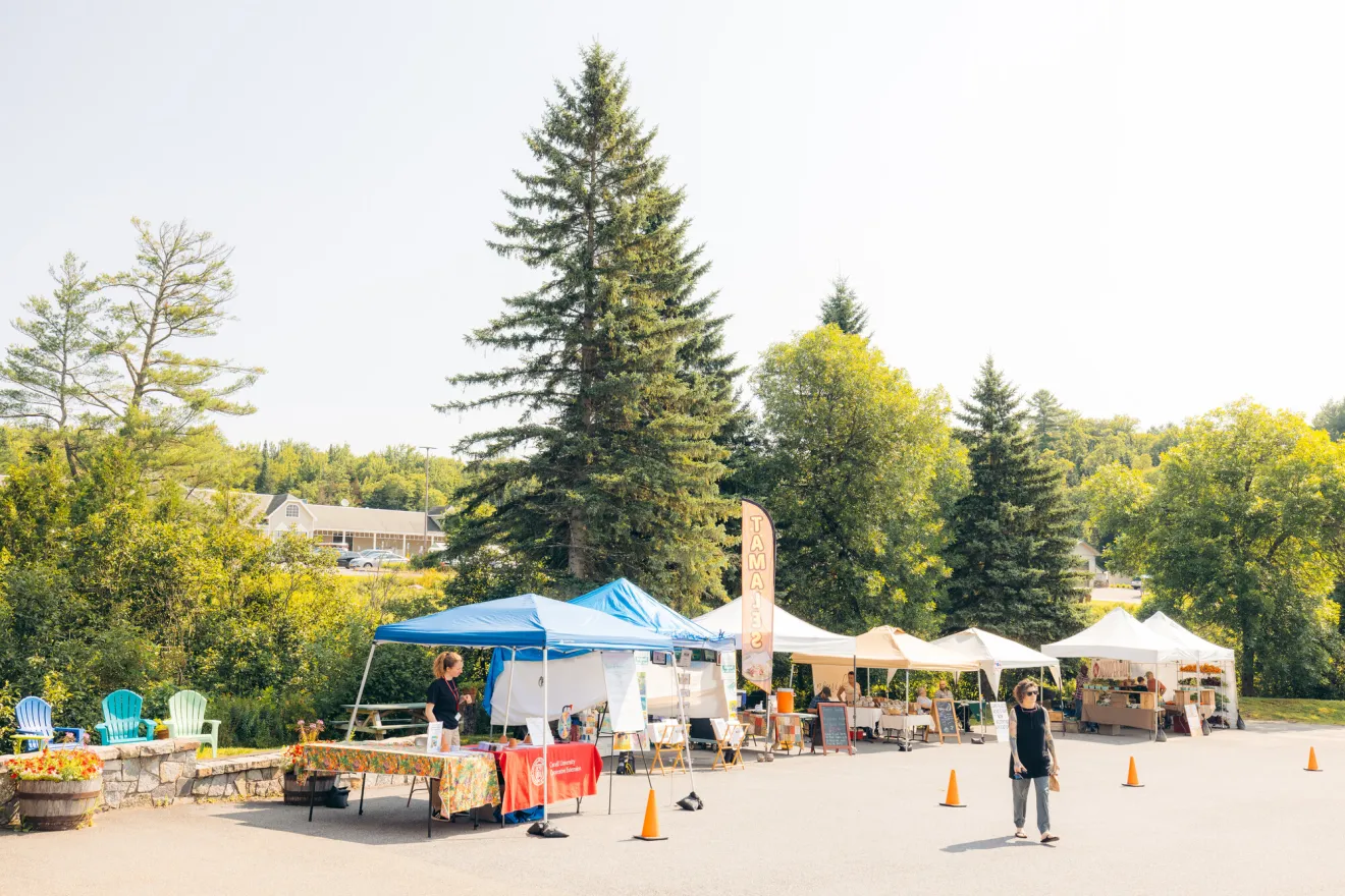 A farmers market in Lake Placid during the summer.