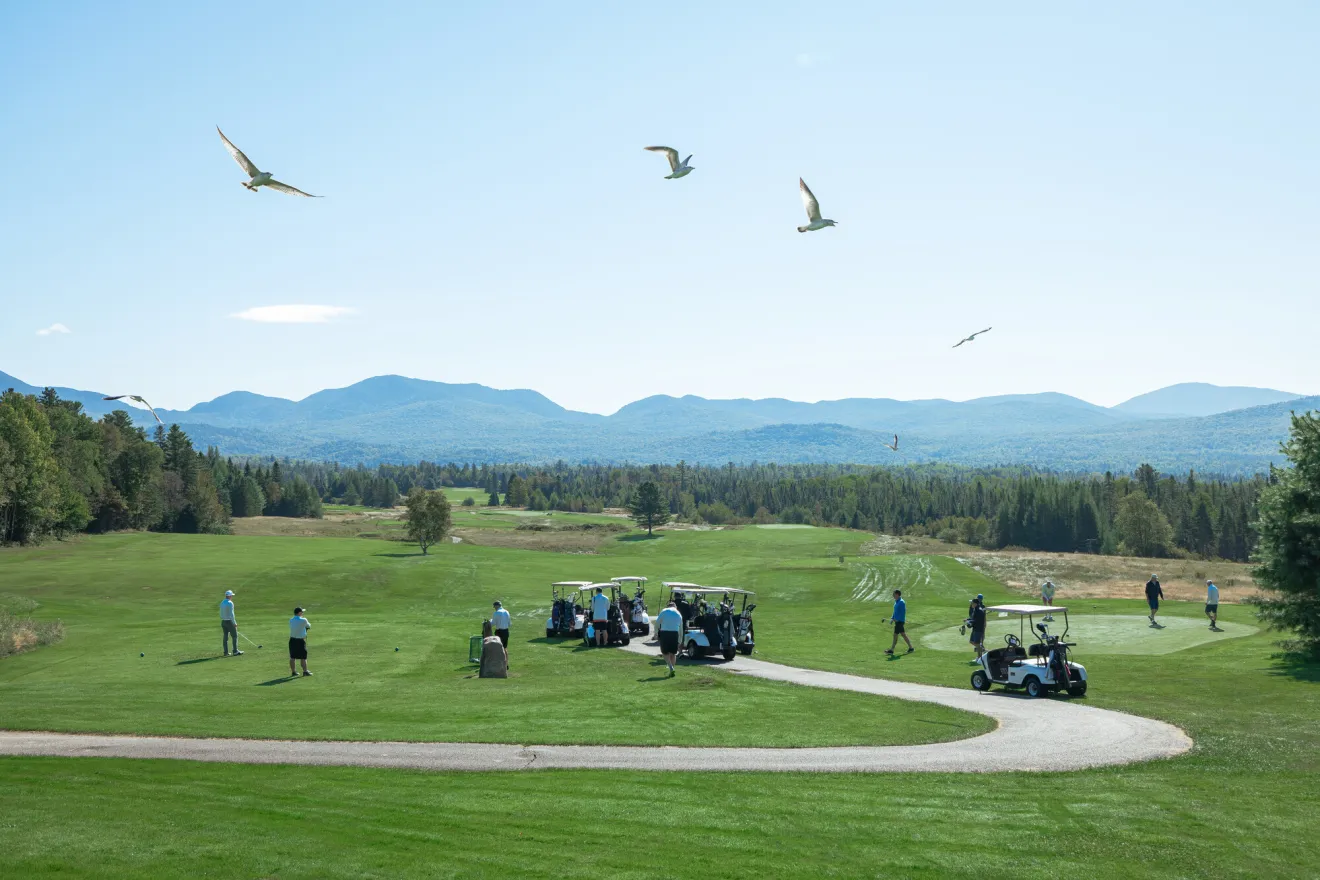 A group of people play golf on a sunny day on a golf course.