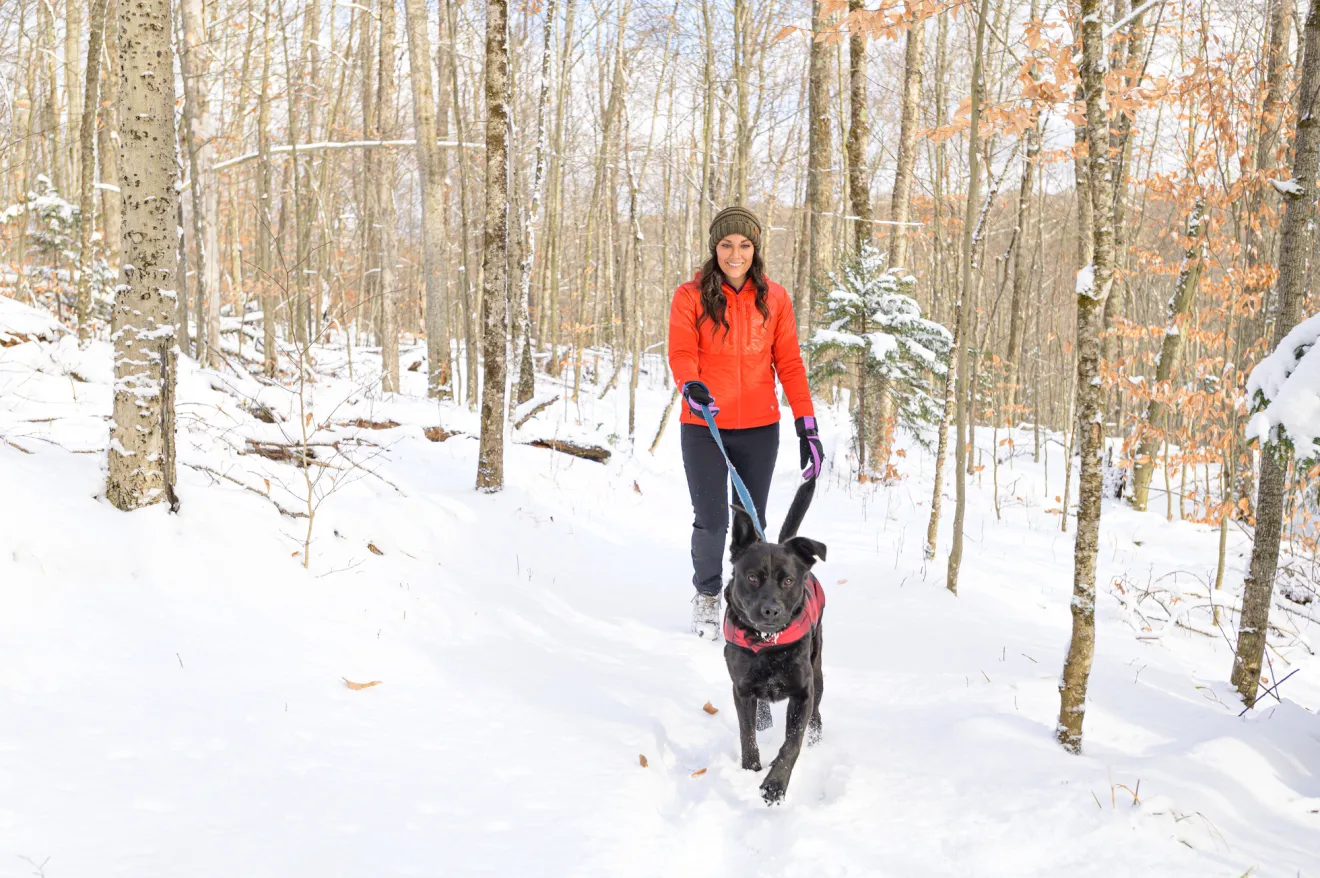 A woman walks her dog in a snowy park.