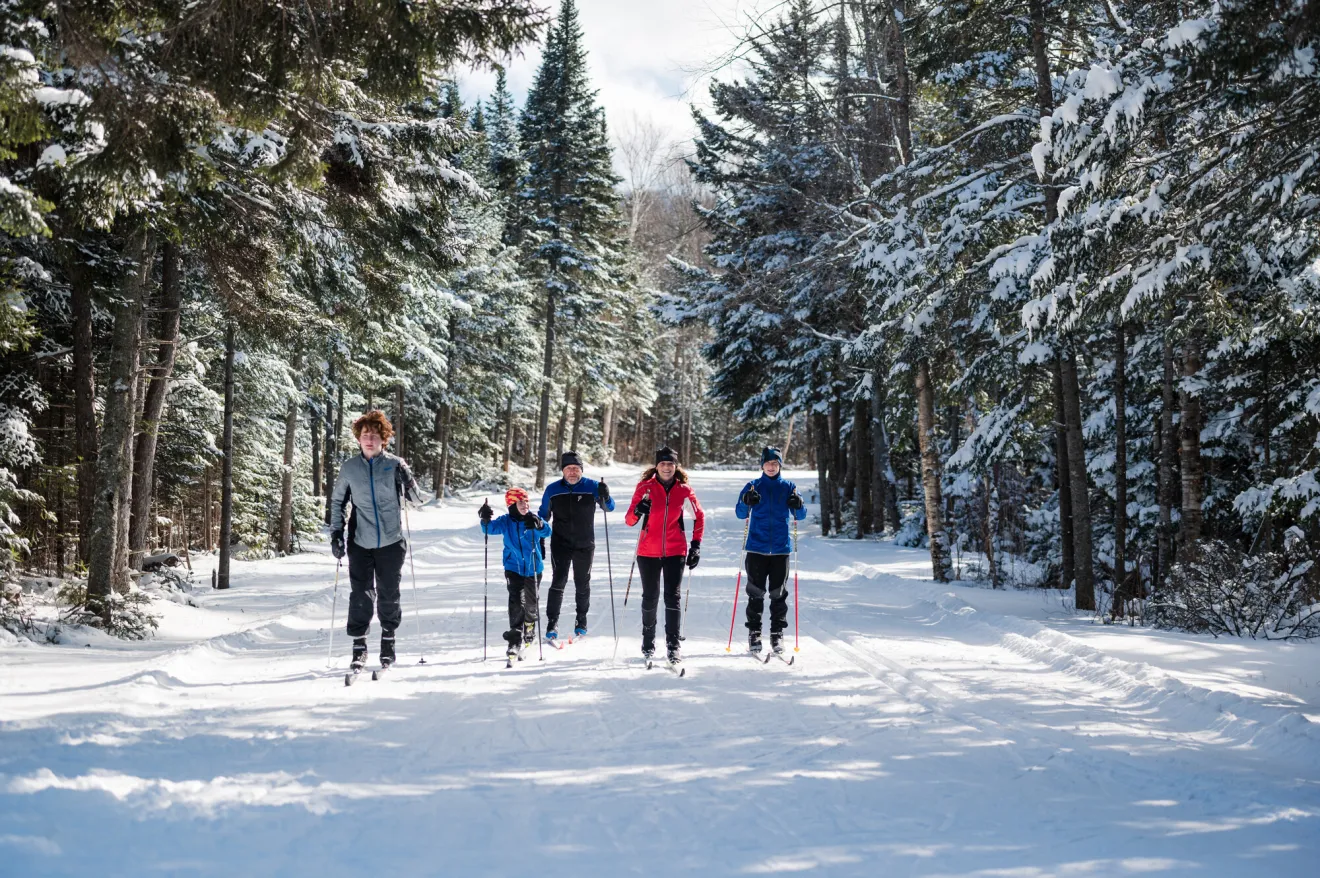 A family of five cross-country skis in a line on a snowy trail surronded by trees. 