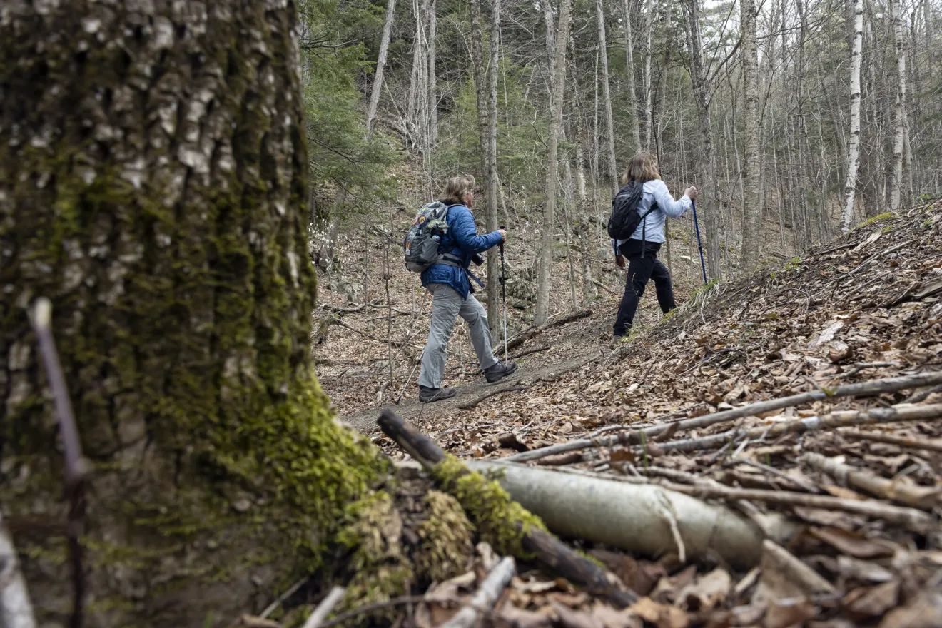 Two women walking in the woods.