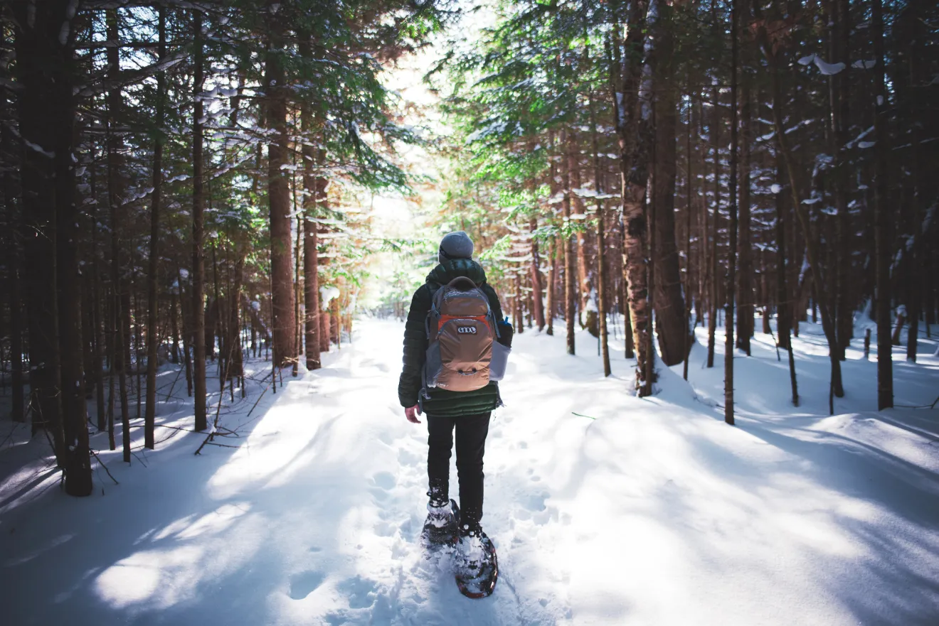 Snowshoeing through the snowy woods.