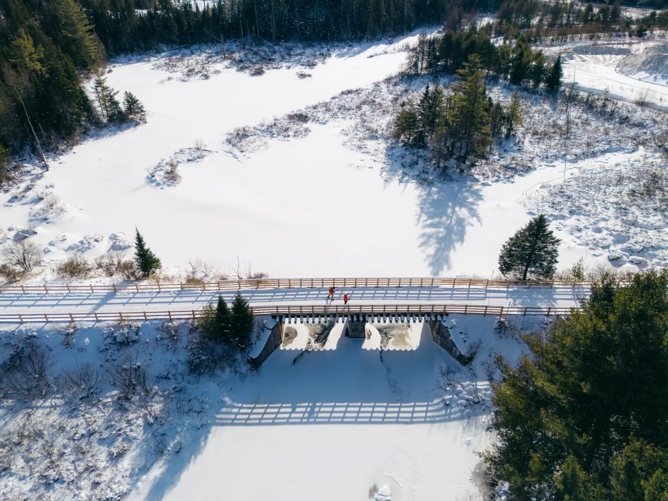 Winter on the Rail Trial.
