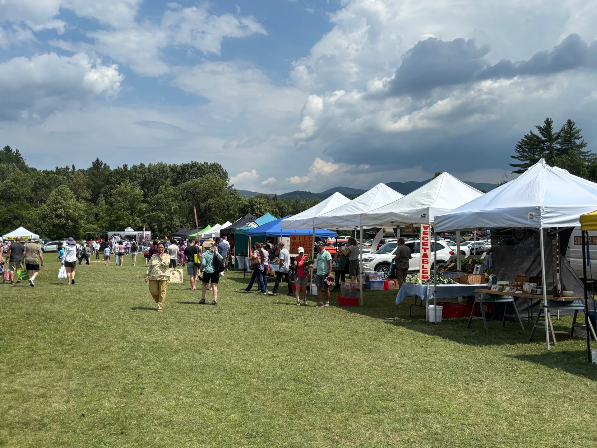 A long line of colorful vendor tents with happy people wandering between them on a lush grass lawn under blue skies.