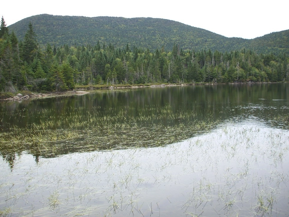 These tranquil ponds are destinations in themselves.