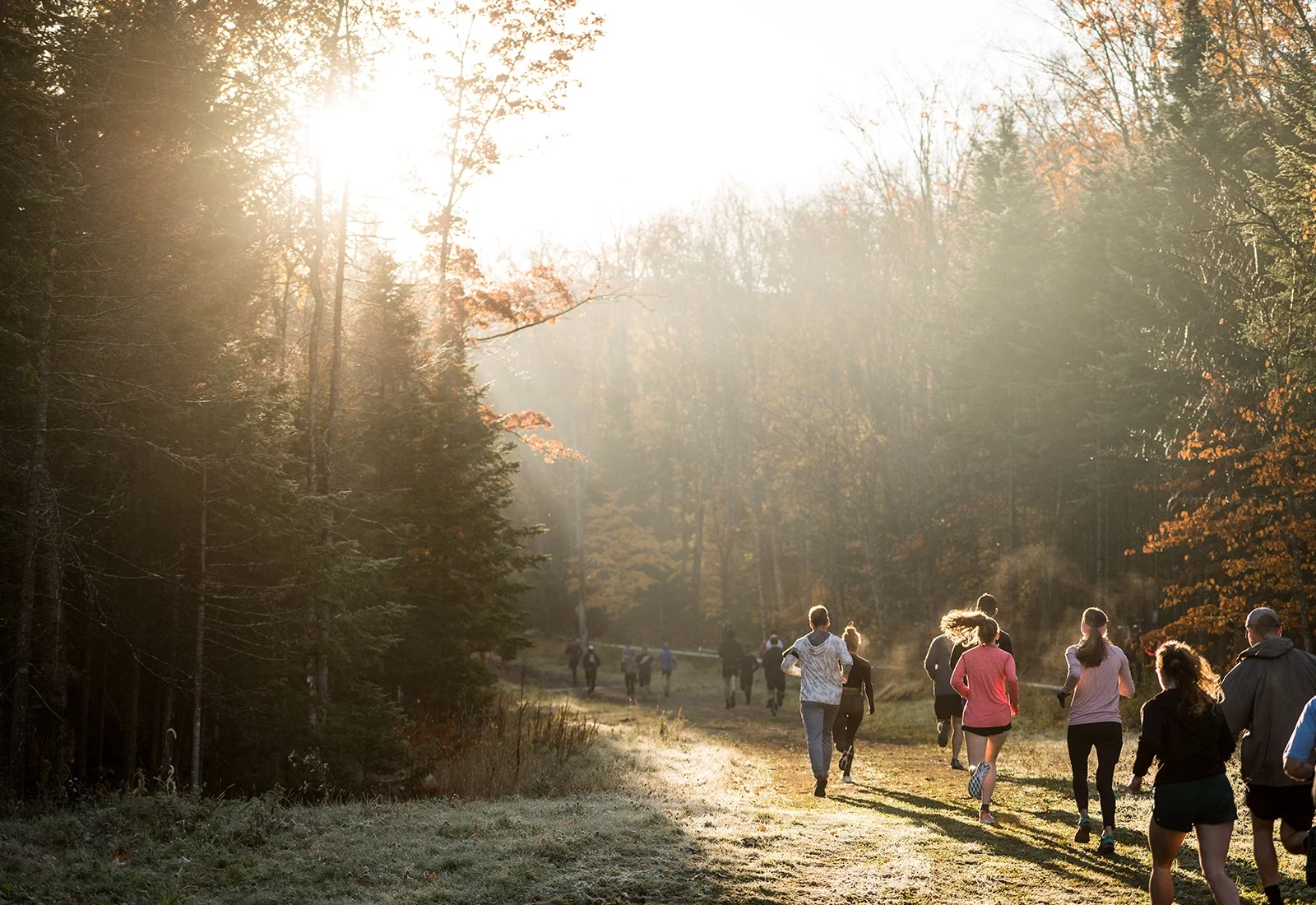 Group of people run on wide grassy path between trees in fall with warm light shining through treetops