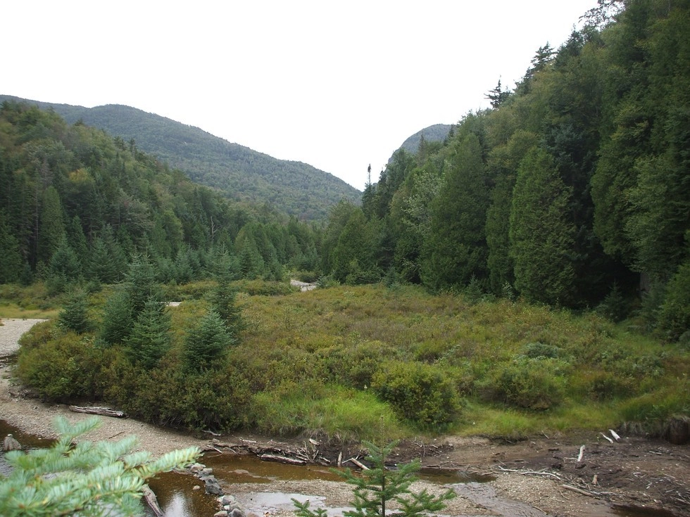 The MacNaughton bushwhack offers unique scenic views.