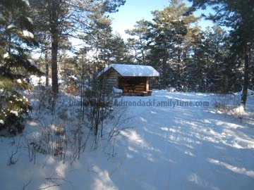 Wild Center lean to