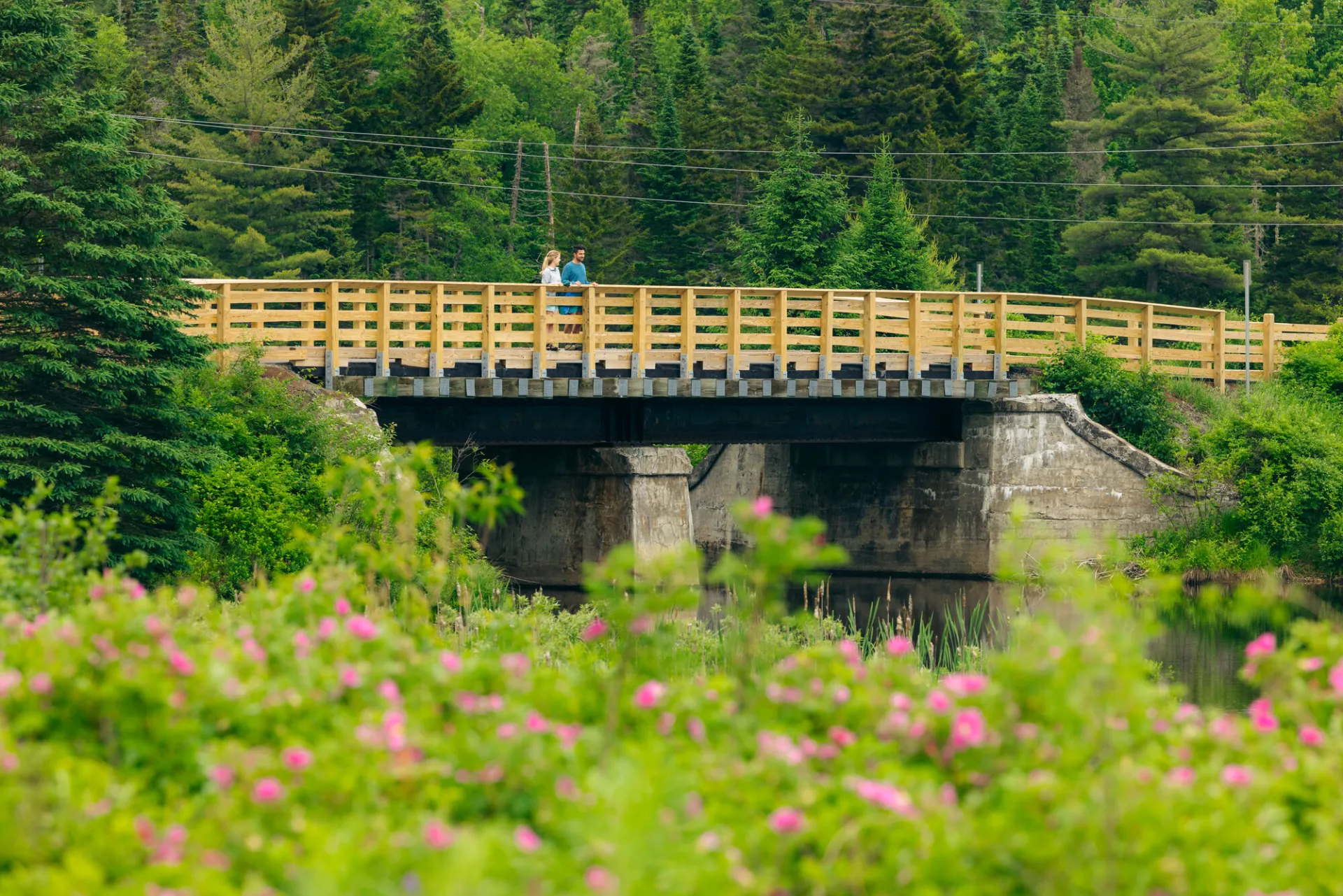 Walking the Rail Trail in the summer.