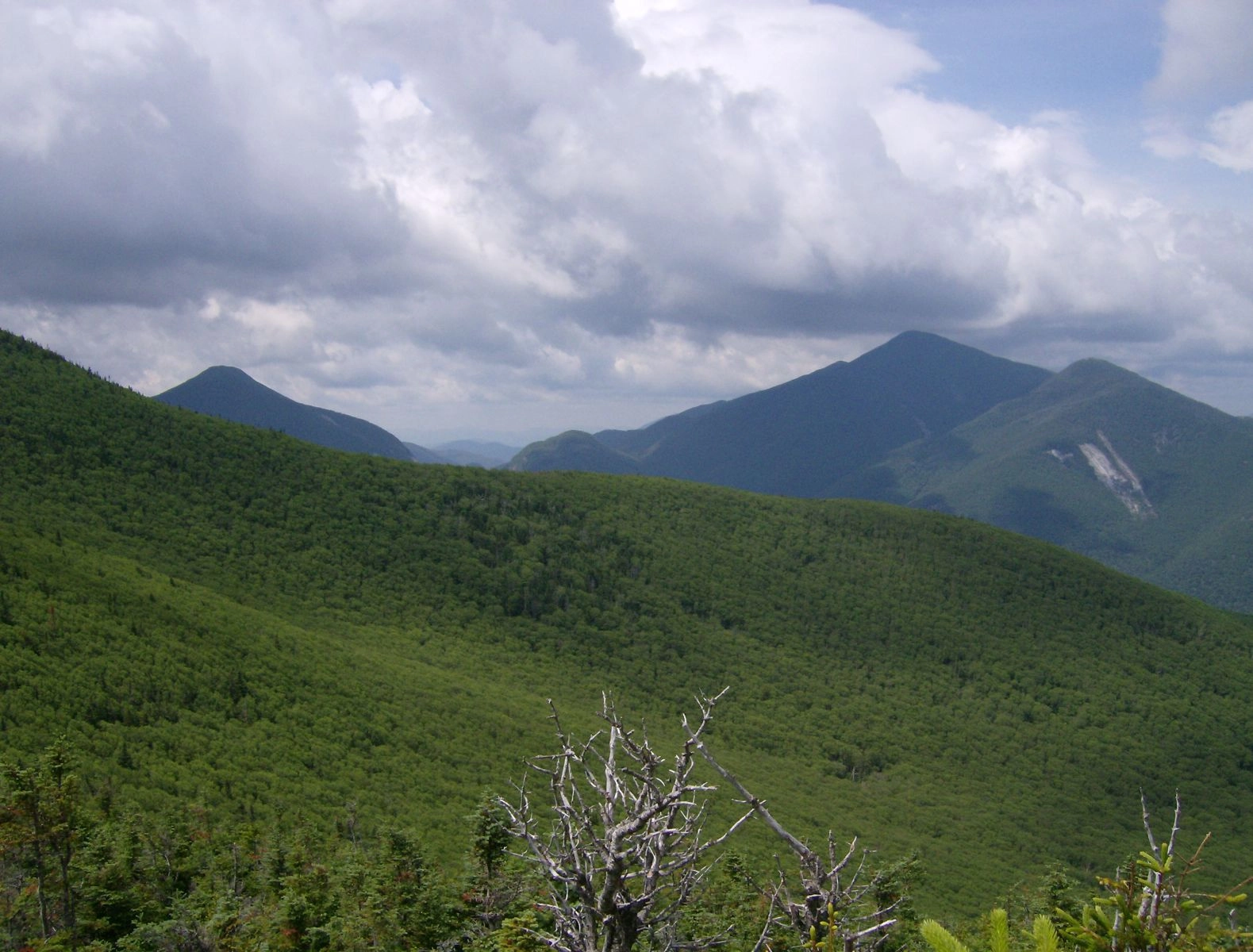 The view from Phelps Mountain