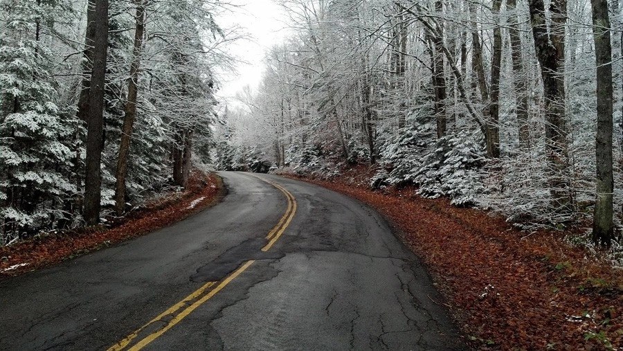 A wintry view of trees on either side of a road