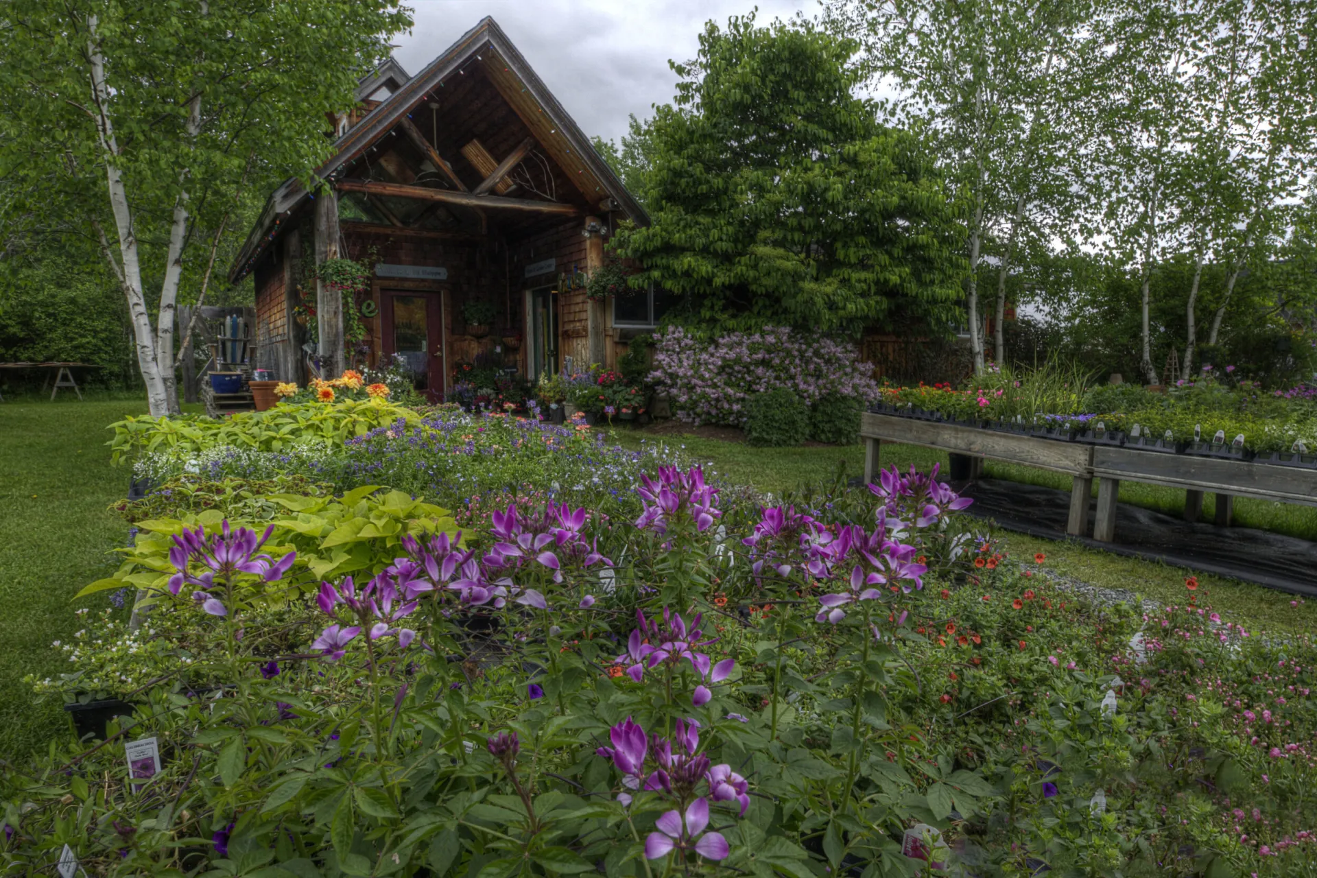 Annuals on tables line the stone path into the Garden Center.