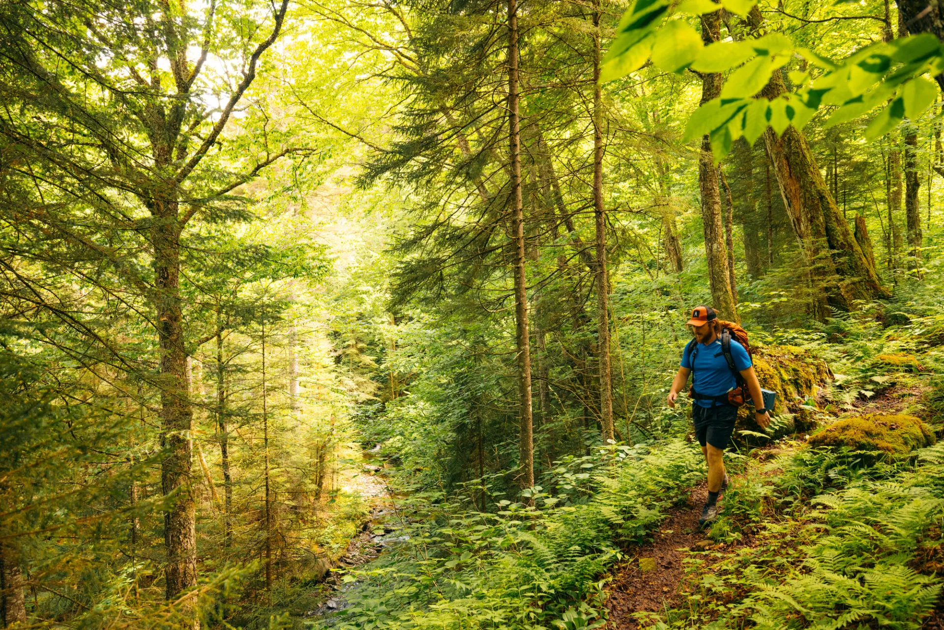 A backpacker on the Northville-Placid Trail