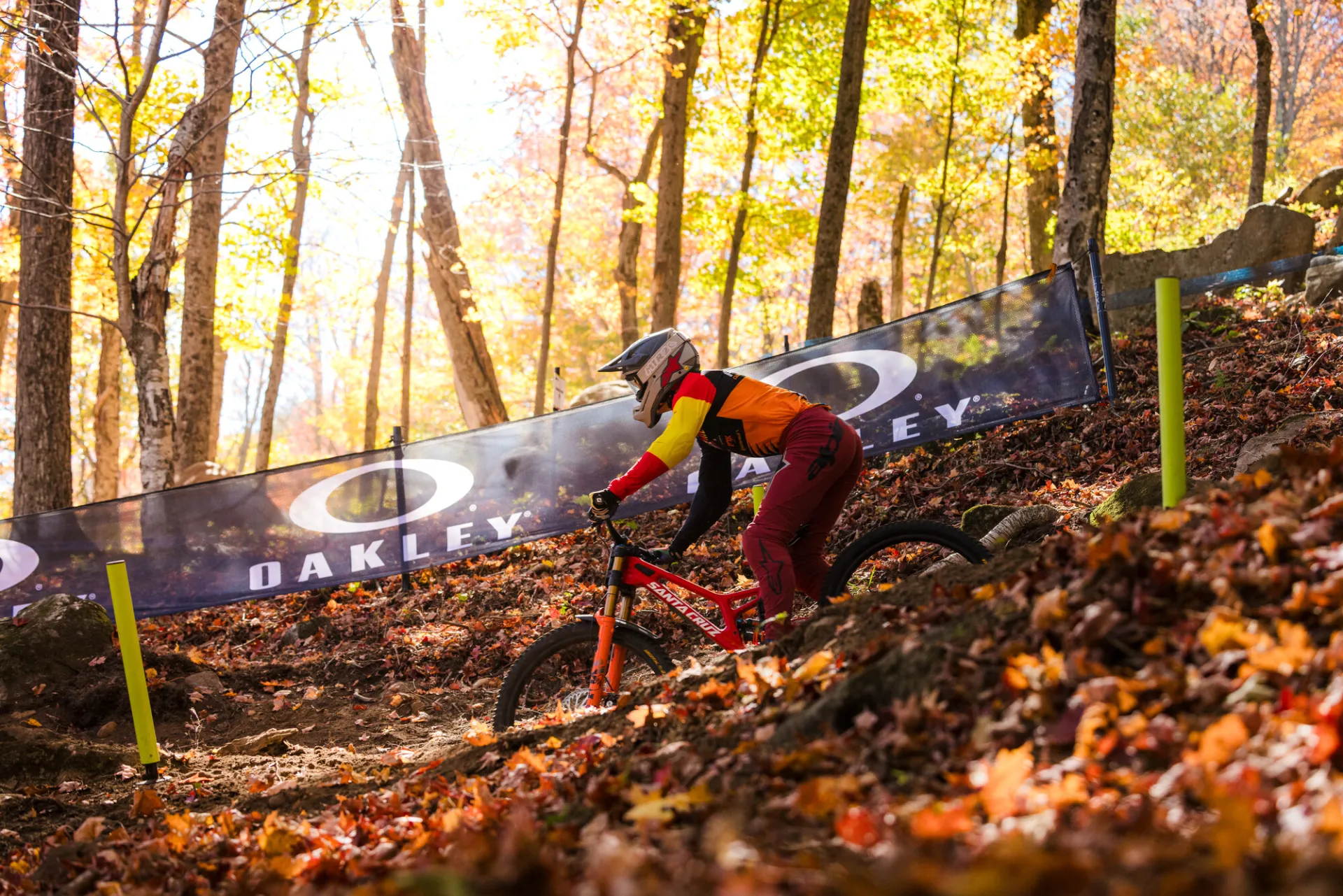 Downhill mountain bike races passes Oakley branded event fencing in forest with fall leaves during UCI MTB Dowhill World Cup
