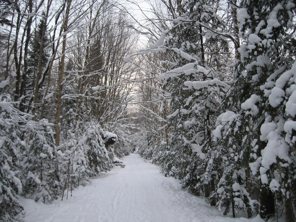 Beautiful winter vistas all the way to the lake.