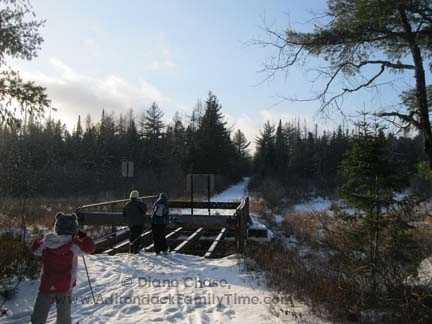Bloomingdale Bog Cross-Country Ski Trail