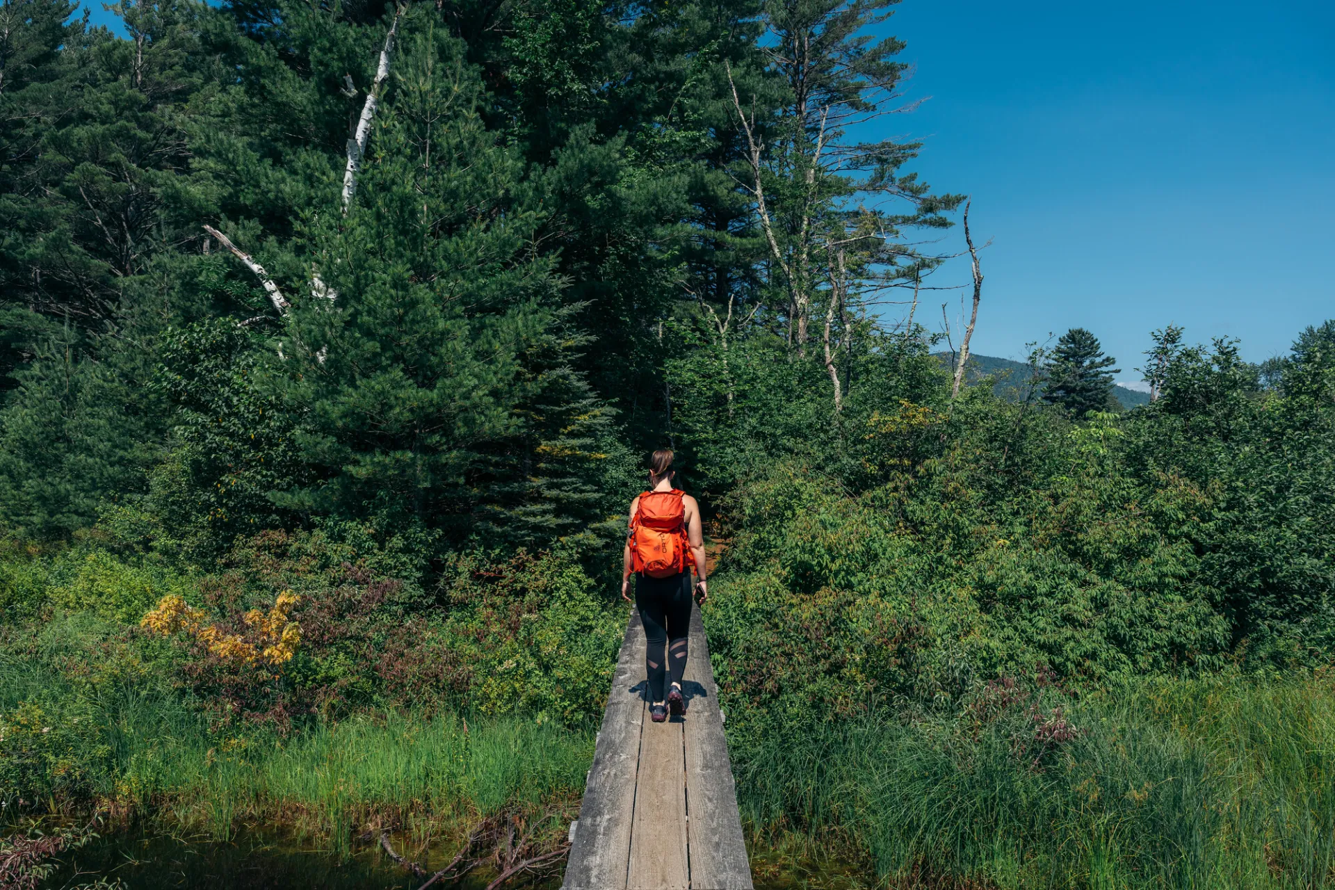 Hiker with red backpack walks on boardwalk over wetland