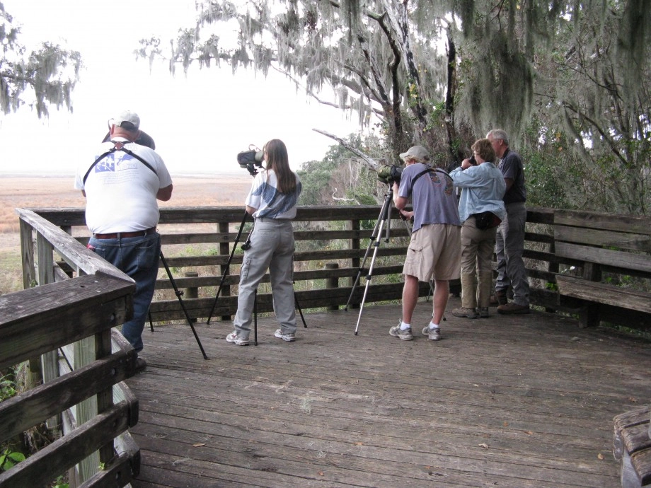 Alachua county CBC