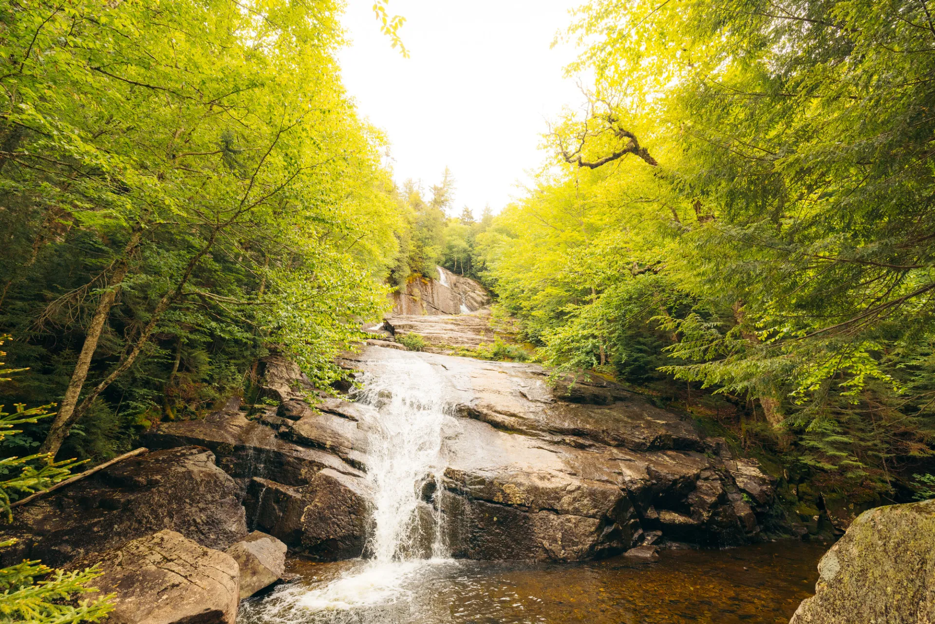 A fanning waterfall in the forest.