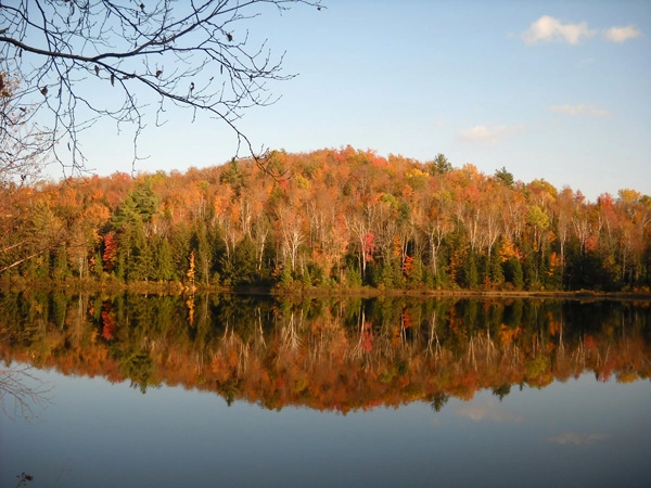 Looking forward: a picture from fall 2011