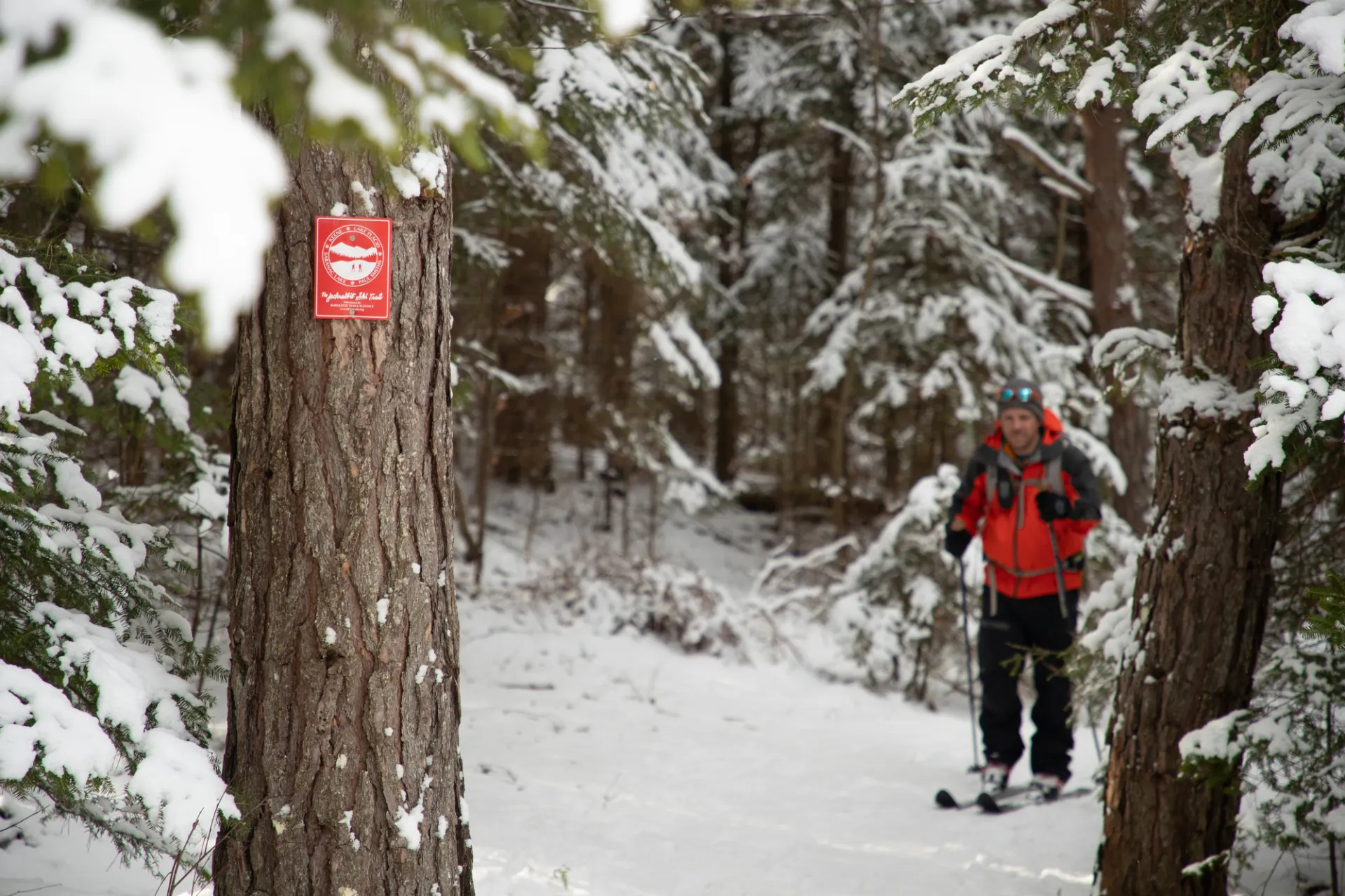 A person skies towards a red trailmarker in the woods.