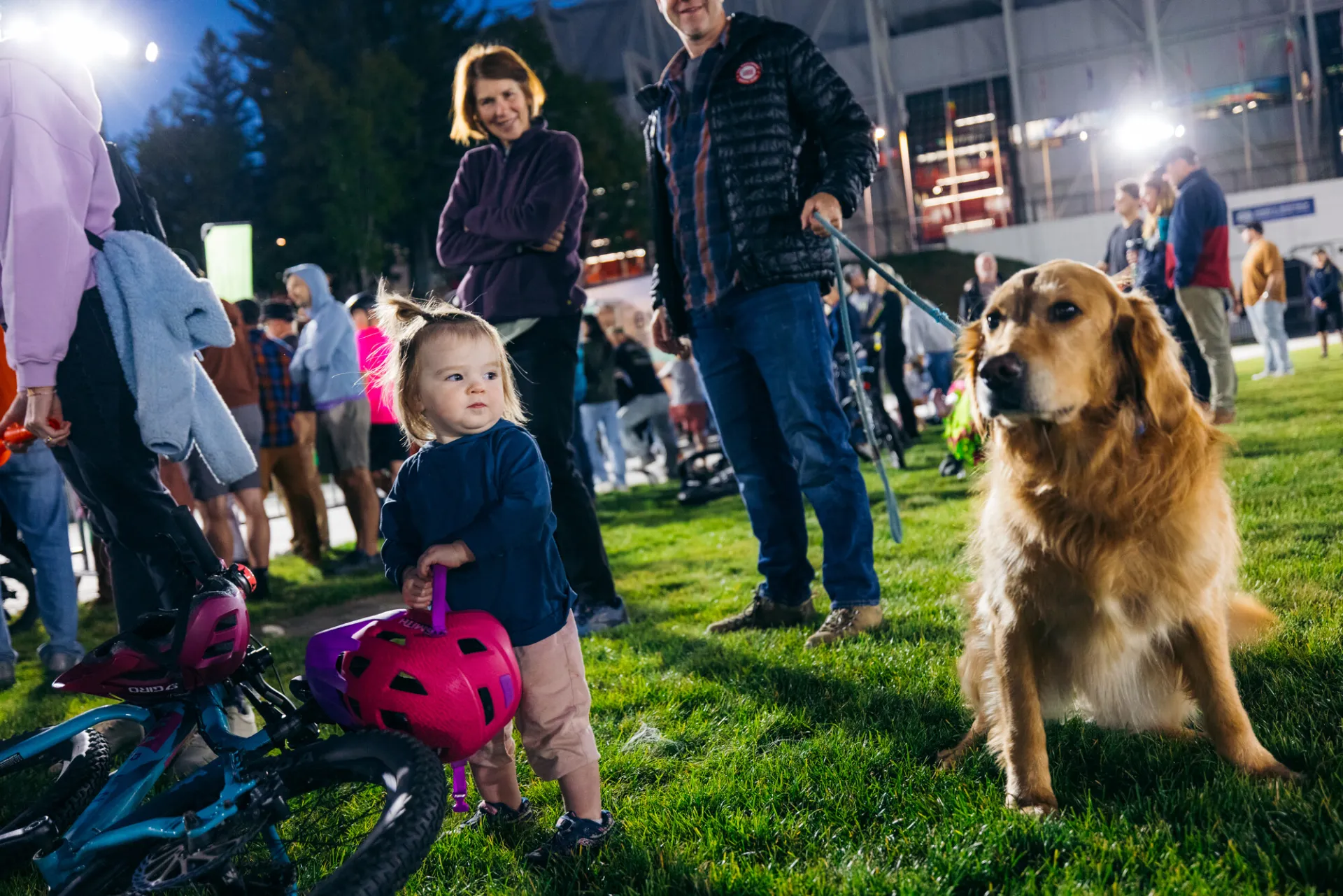 Toddler holds pink bike helmet and looks at golden retriever dog as adults look on