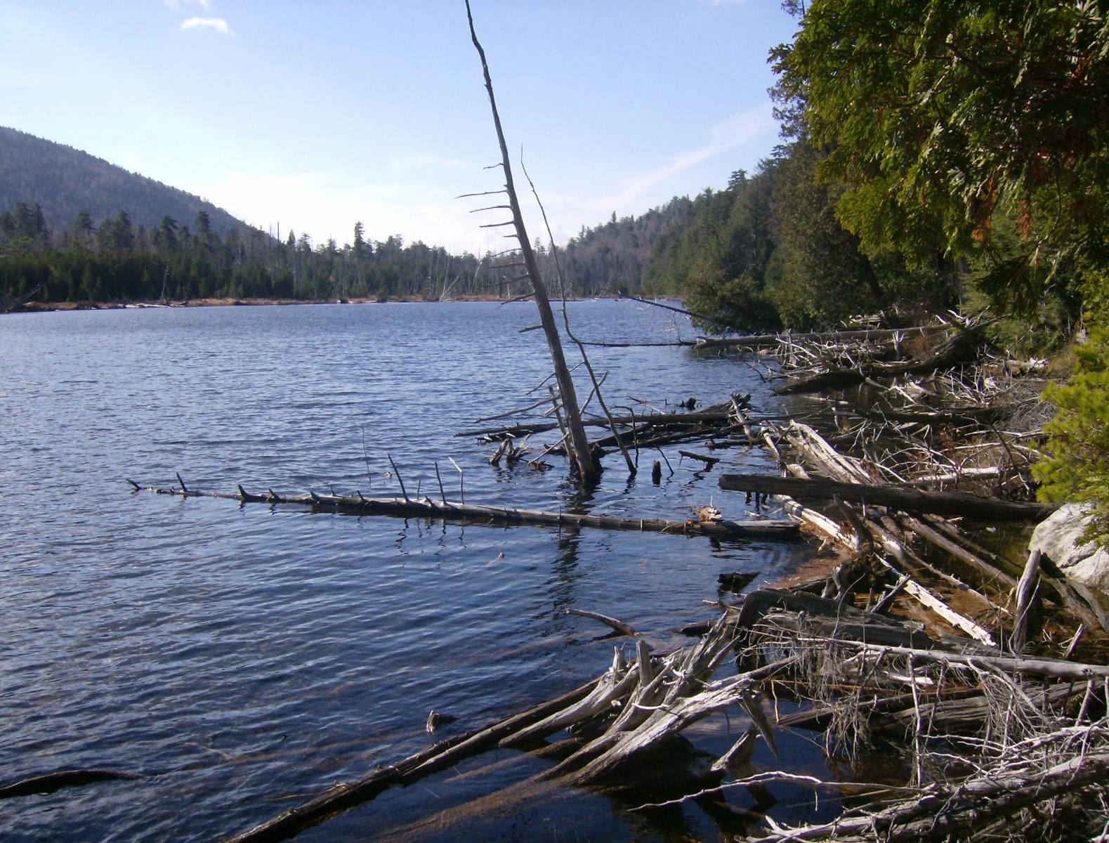 Winch Pond