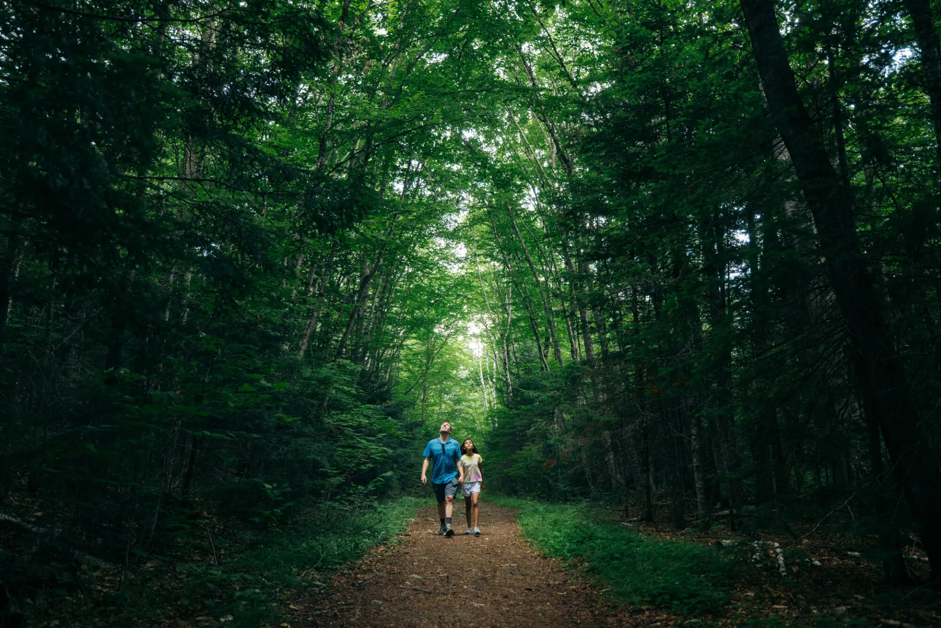 Father and daughter walk on dirt trail in thick green forest