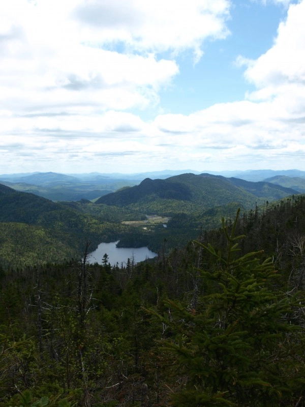 View