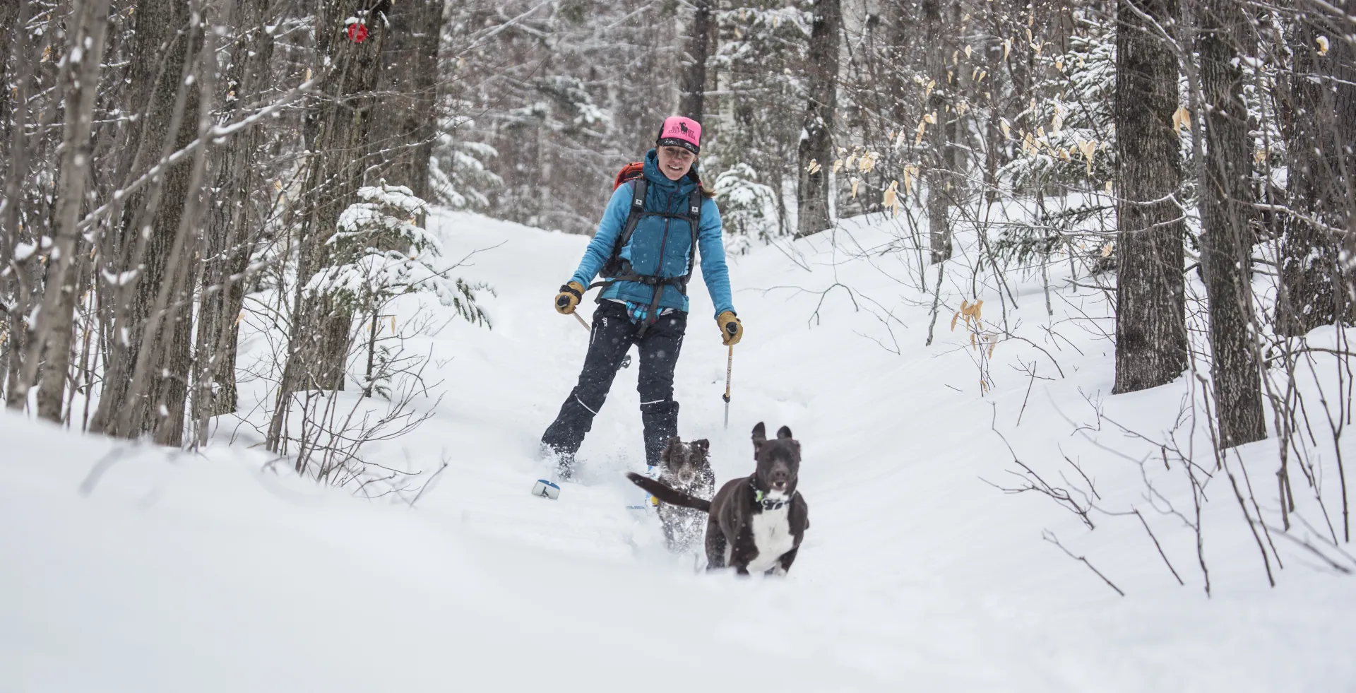 This trail is shared with snowmobiles, take care.