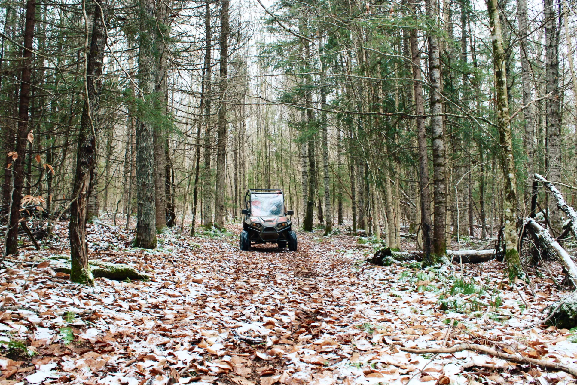 A low to the ground angle of a side by side on a path through tall trees with snow collected in fallen leaves