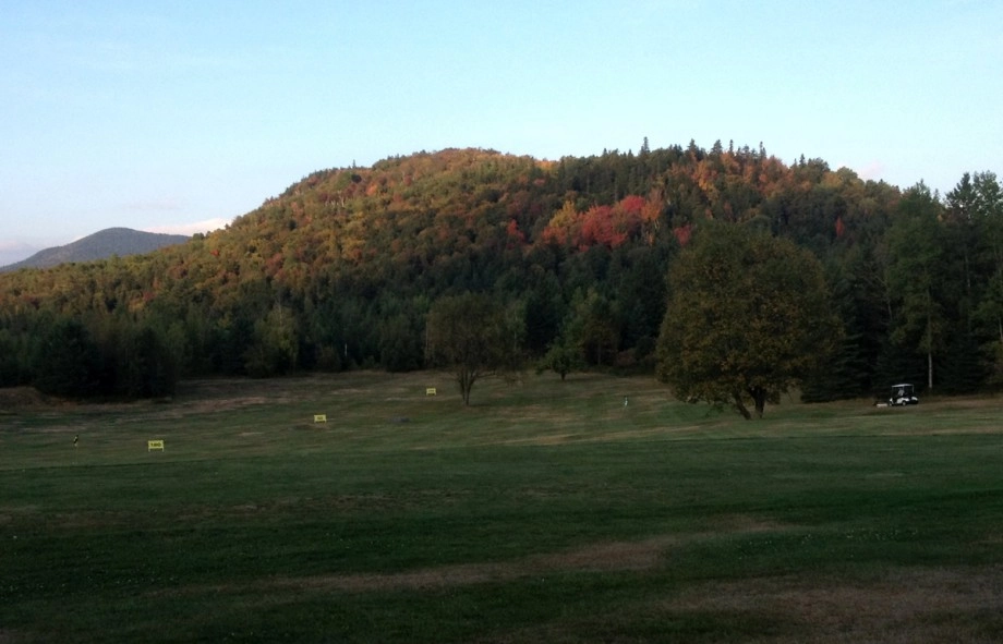 First sign of foliage