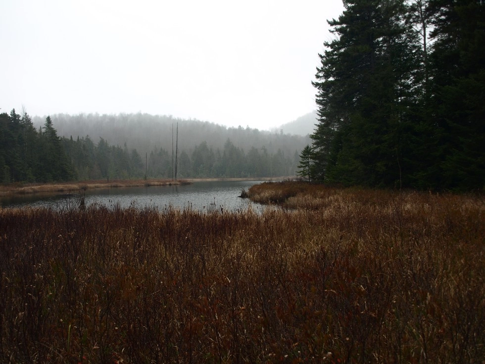 These wetlands support many kinds of birds and gives a view of the Whiteface Range.