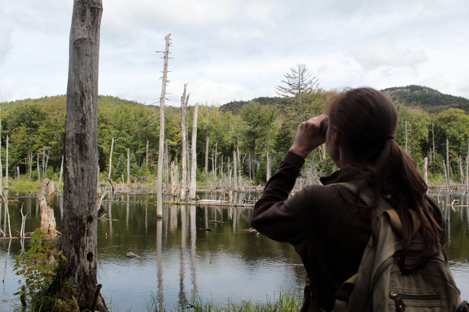 Don't forget to look up while you're searching for wildflowers!