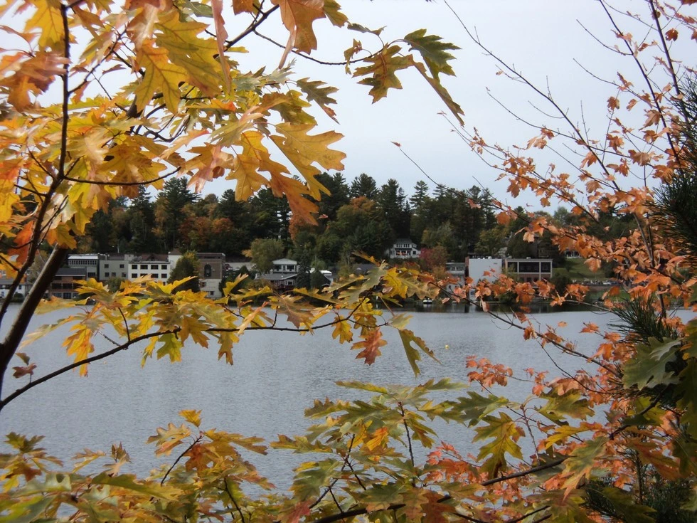 A view of a town across a lake through fall colored trees