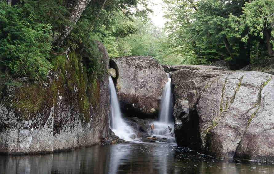 A small, dual waterfall flowing into a pool