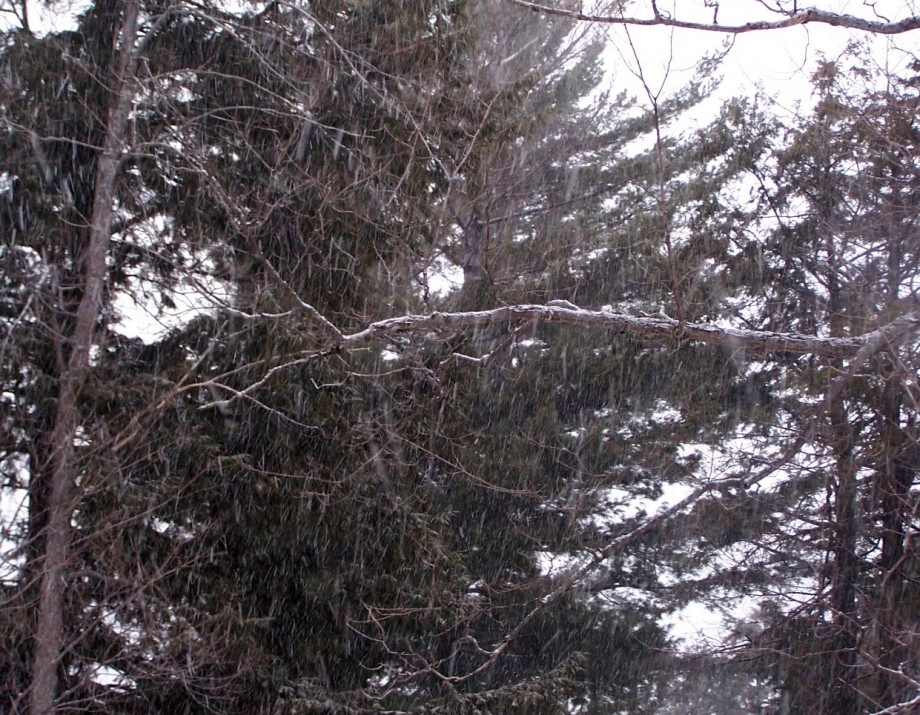 spring snow