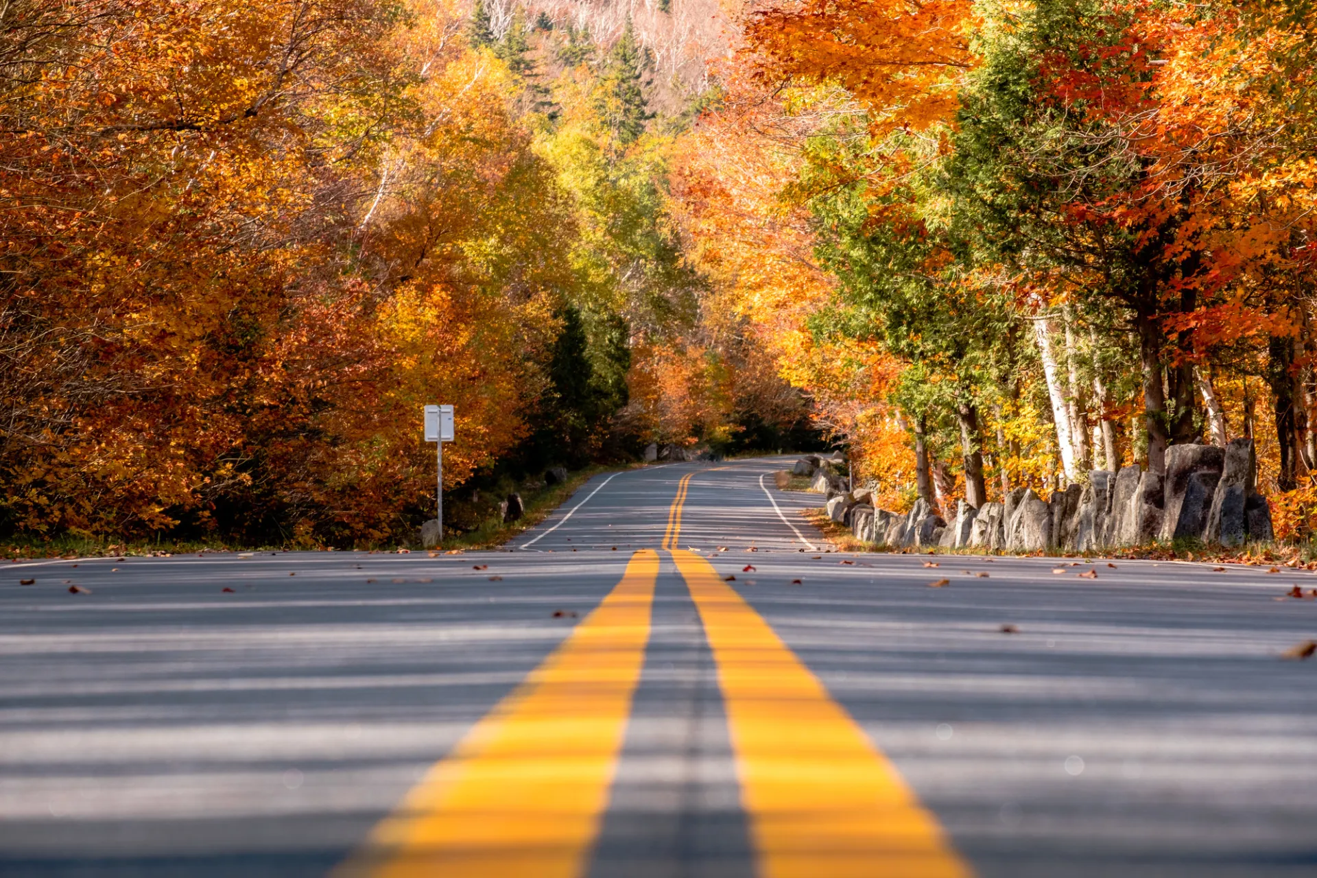 A road with fall foliage perfect for a scenic drive in Lake Placid.