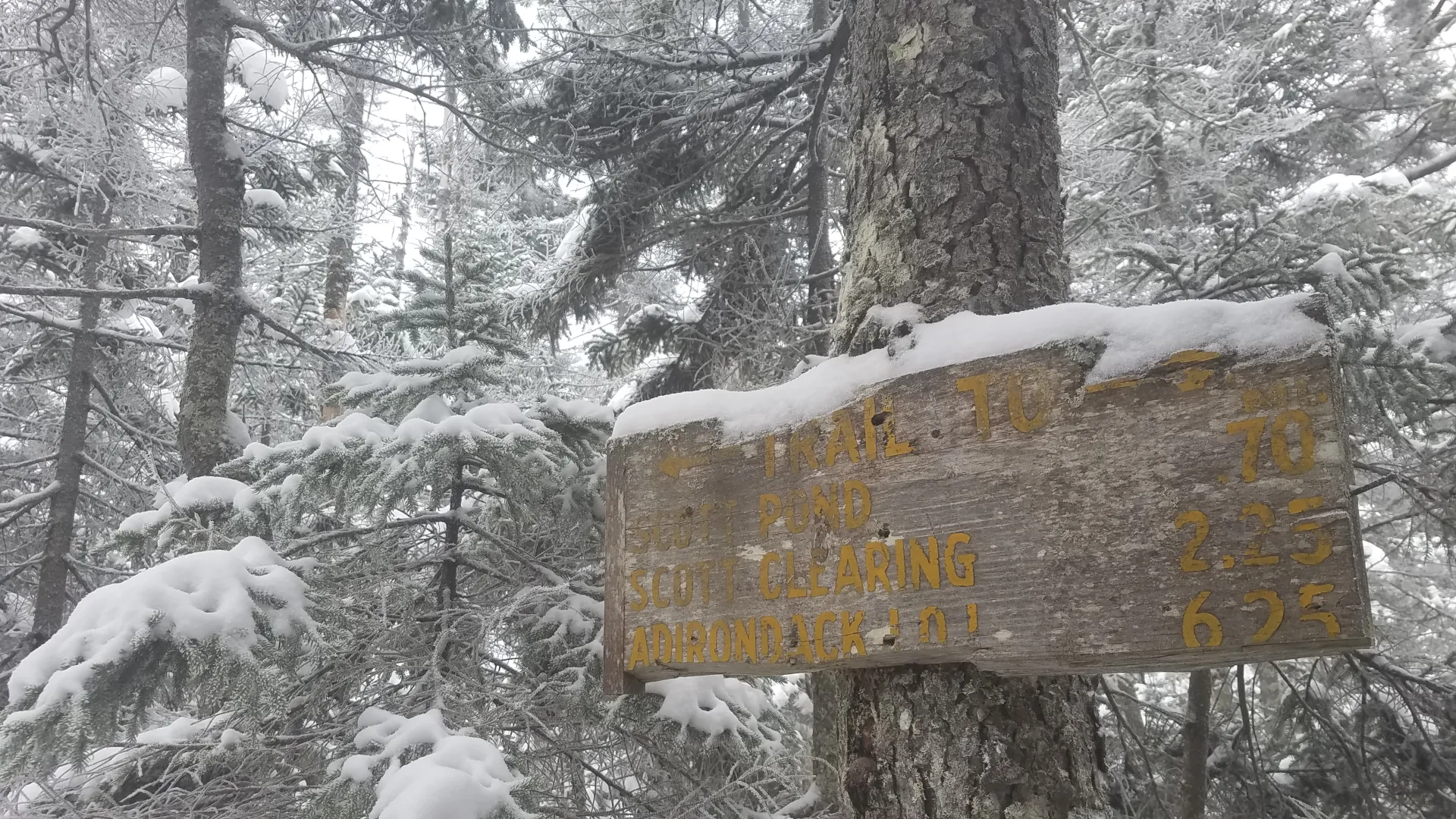 A trail sign for Scott Pond