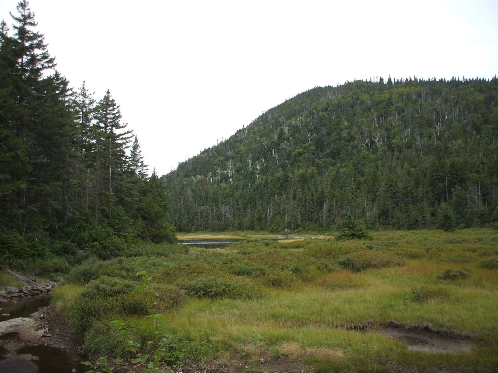 This scenic trail offers the tranquility of Scott and Wallface ponds in the Adirondack High Peaks.