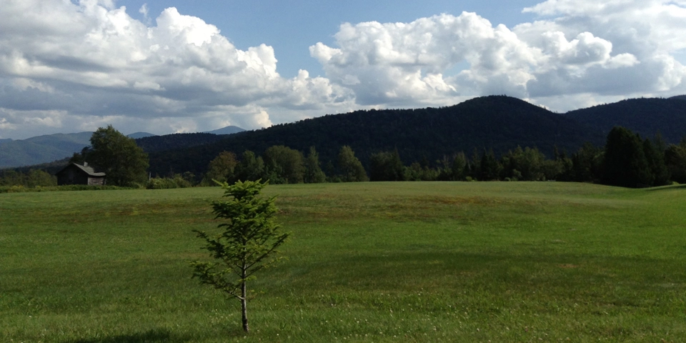 Enjoy lovely meadows with mountains in the background.
