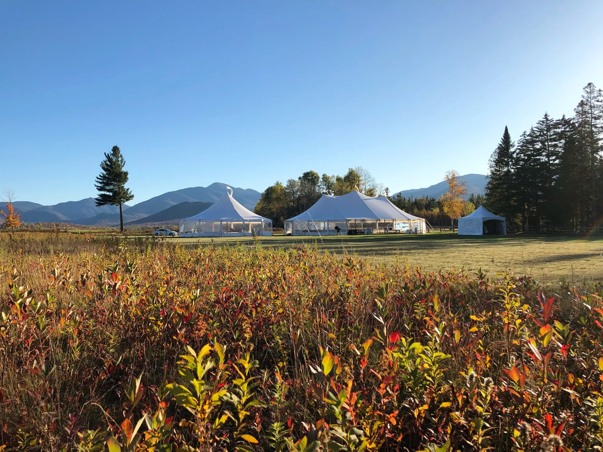 Fall color sweeps through the meadow offsetting the large white tents of the wedding celebration